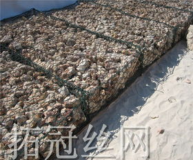 雙絞生態格網 水利工程的耐久支柱與生態之選